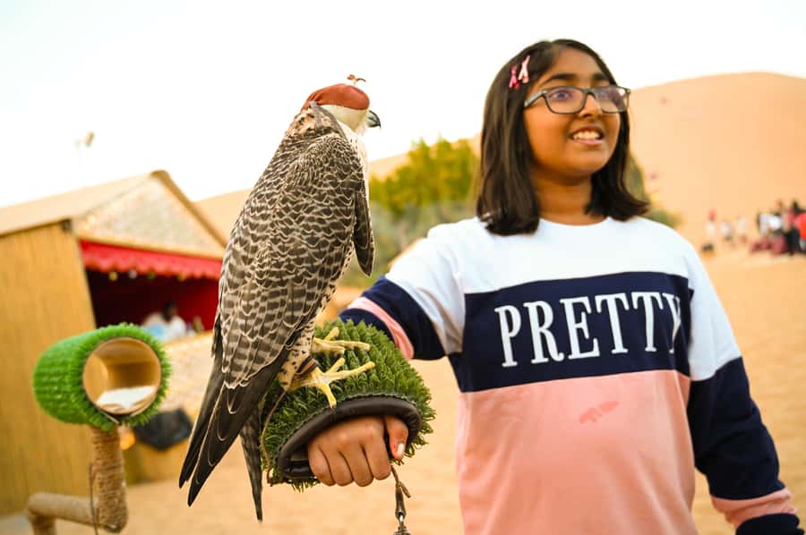 From Abu Dhabi: Dune Bashing Desert Safari - Camel farm stop and desert photos, the quiet moments you’ll remember