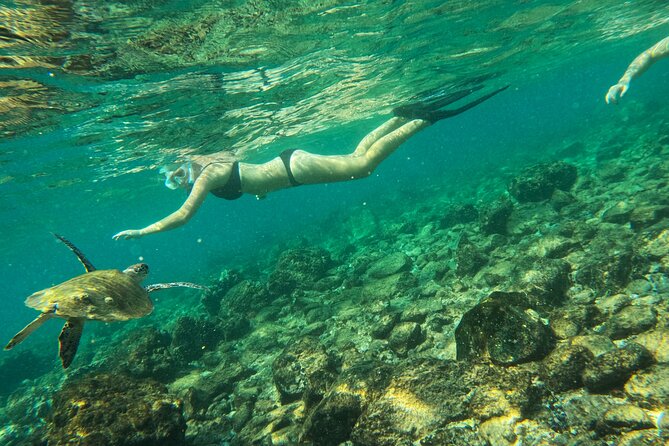From Abu Dhabi: Snorkeling with Turtles in Fujairah with BBQ - Guides make the difference: Asad on the road, Julia in the water