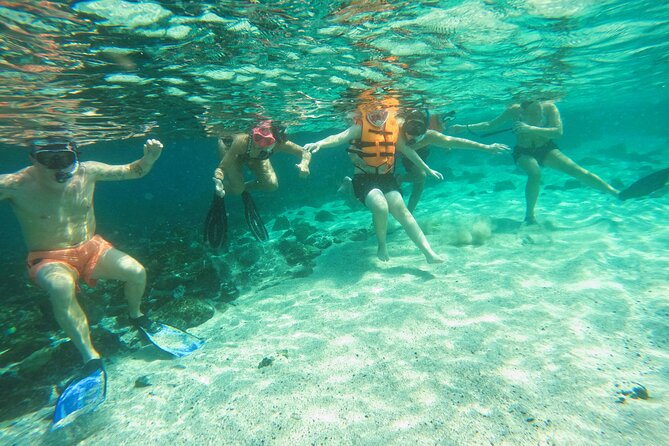 From Abu Dhabi: Snorkeling with Turtles in Fujairah with BBQ - The snorkeling boat: comfortable, practical, and not just a transport van