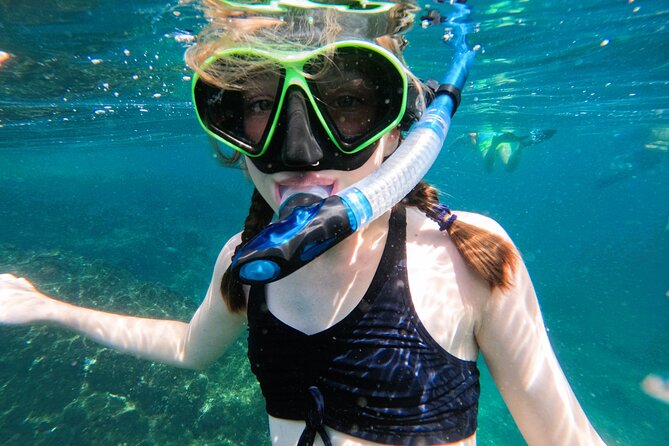 From Abu Dhabi: Snorkeling with Turtles in Fujairah with BBQ - BBQ lunch in Fujairah: good break, but manage your timing