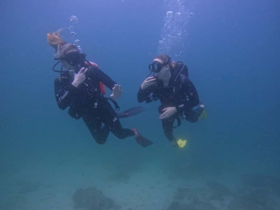 From Dubai: 2 Dives for Certified Divers with BBQ & Transfer - Key highlights that make this day work