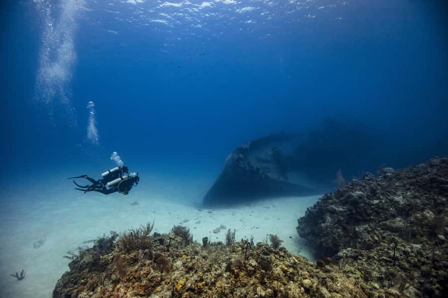 From Dubai: 2 Dives for Certified Divers with BBQ & Transfer - Fujairah’s East Coast and an 8-hour schedule that stays organized