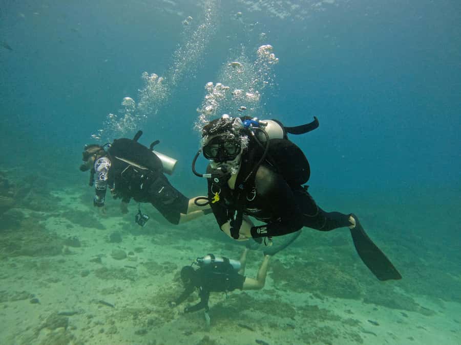 From Dubai: 2 Dives for Certified Divers with BBQ & Transfer - Two separate underwater sessions, different locations, and what that buys you
