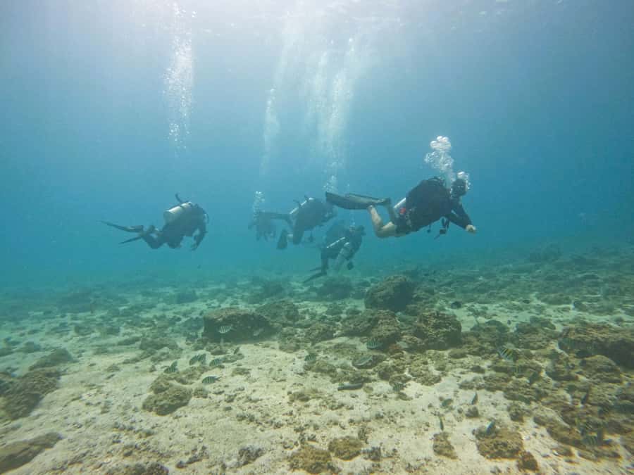 From Dubai: 2 Dives for Certified Divers with BBQ & Transfer - Khorfakkan sightseeing after your water time: waterfalls and a quick mosque stop