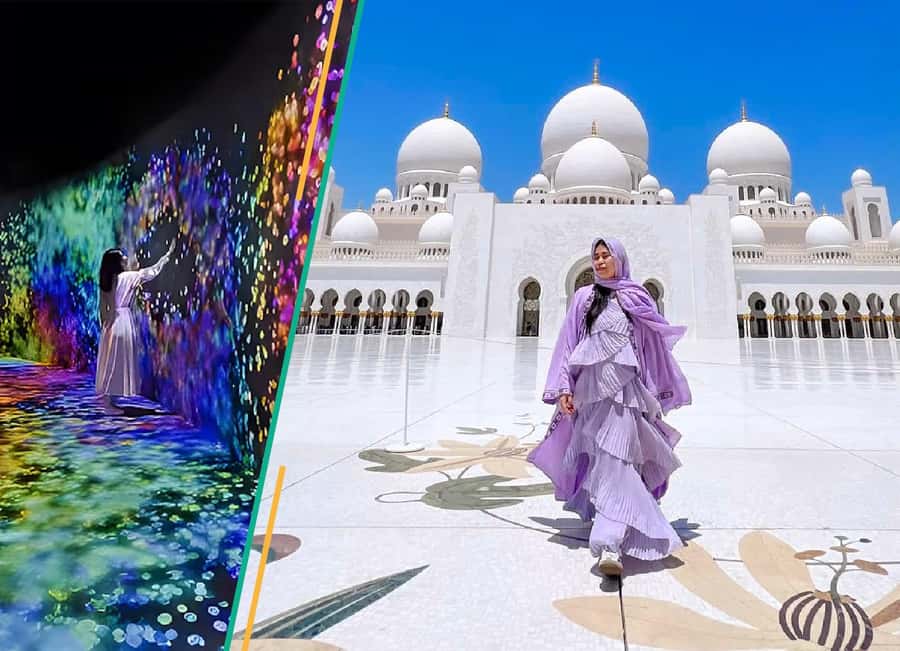 From Dubai: Abu Dhabi City Tour With teamLab Experience - Key highlights worth getting excited about