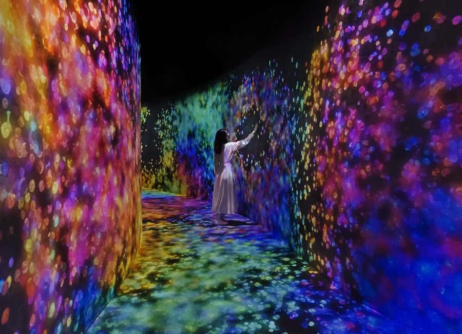 From Dubai: Abu Dhabi City Tour With teamLab Experience - teamLab Phenomena Abu Dhabi: where the city turns into light and motion