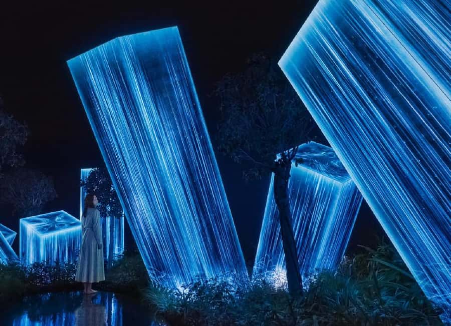 From Dubai: Abu Dhabi City Tour With teamLab Experience - Value for money: what $96 gets you and what it doesn’t