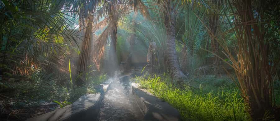From Dubai: Al Ain City Tour - Key highlights