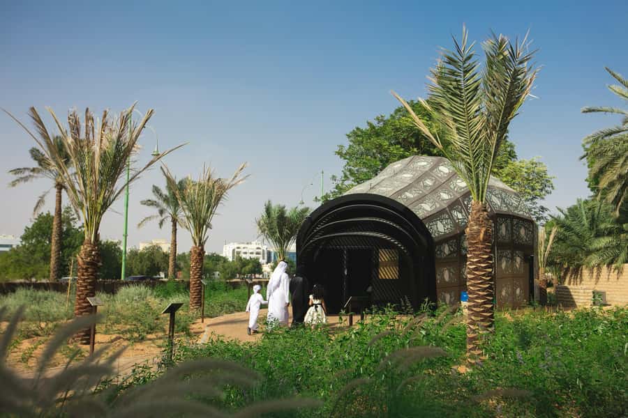 From Dubai: Al Ain City Tour - Getting there from Dubai: the 8-hour rhythm that matters