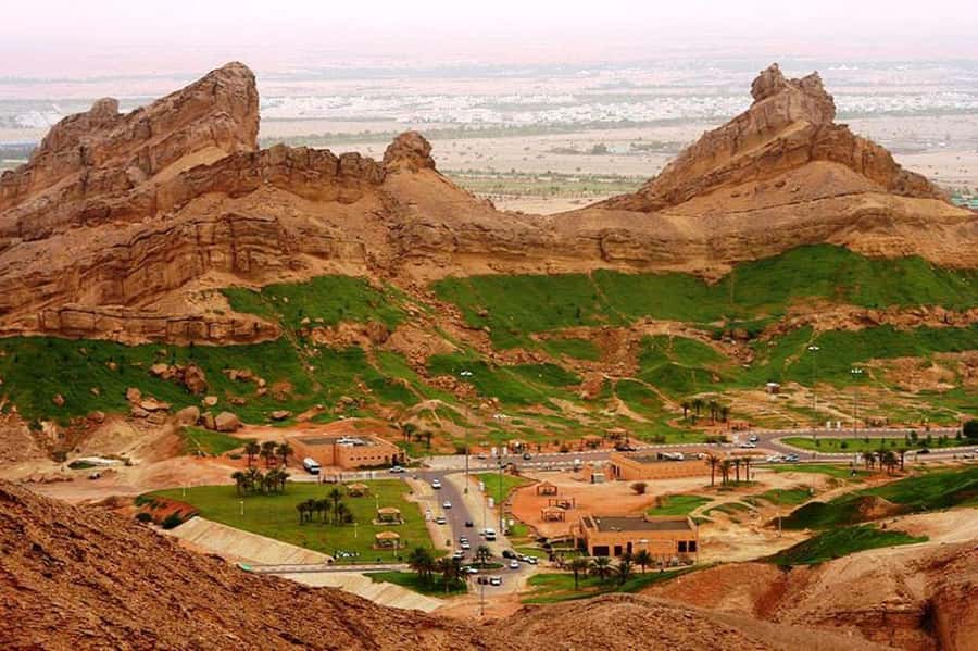 From Dubai: Al Ain Garden City Full-Day Sightseeing Tour - Key highlights worth your attention