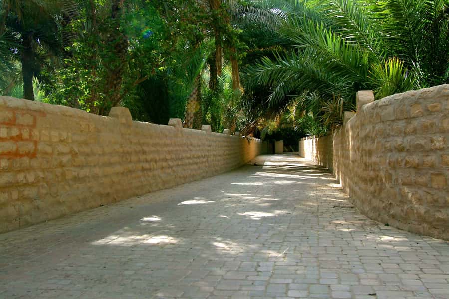 From Dubai: Al Ain Garden City Full-Day Sightseeing Tour - Why Al Ain’s Garden City is a smart Dubai escape