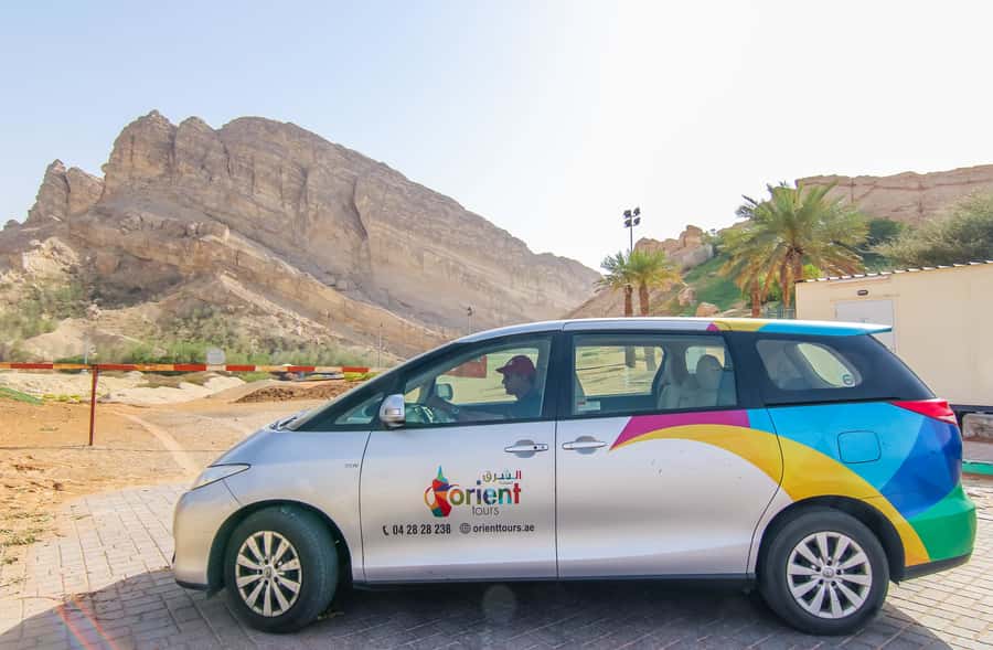 From Dubai: Al Ain Garden City Full-Day Sightseeing Tour - Lunch at Ayla Bawadi Hotel Restaurant, then camel market and photos