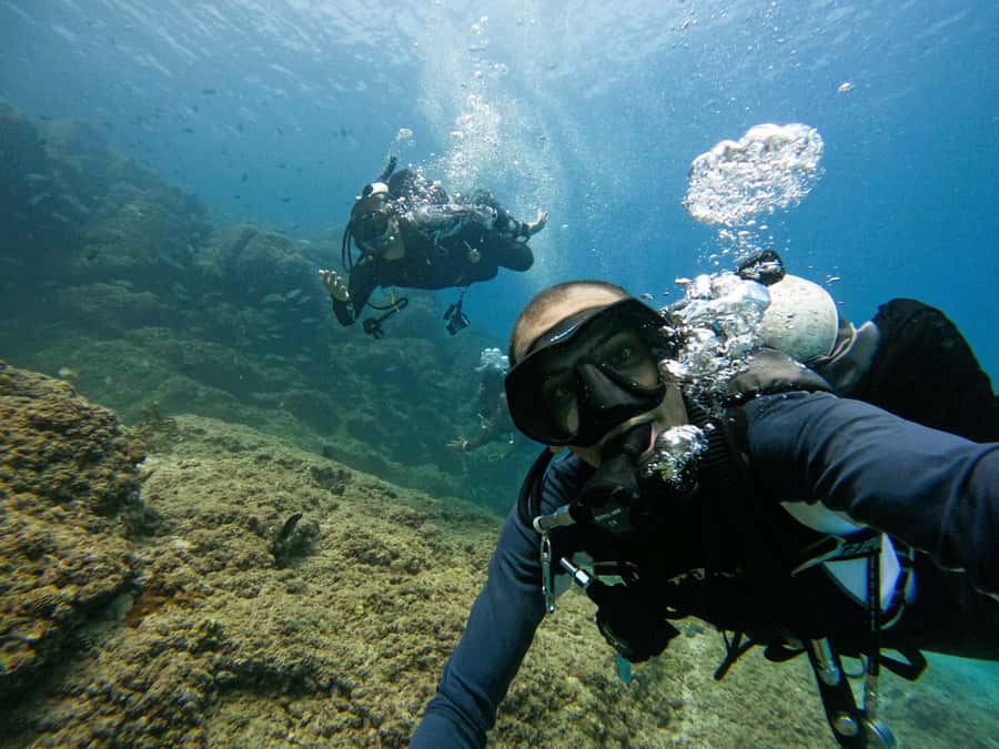 From Dubai: Dive and Stay 5-Dives Trip with BBQ, Transfers - Sleep in Fujairah: What the Hotel and Dinner Add to the Plan