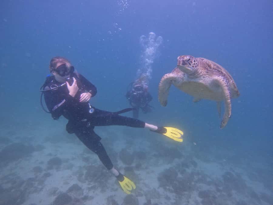 From Dubai: Dive and Stay 5-Dives Trip with BBQ, Transfers - Reef Day 1: Two Daytime Sessions, BBQ Lunch, and Night Underwater
