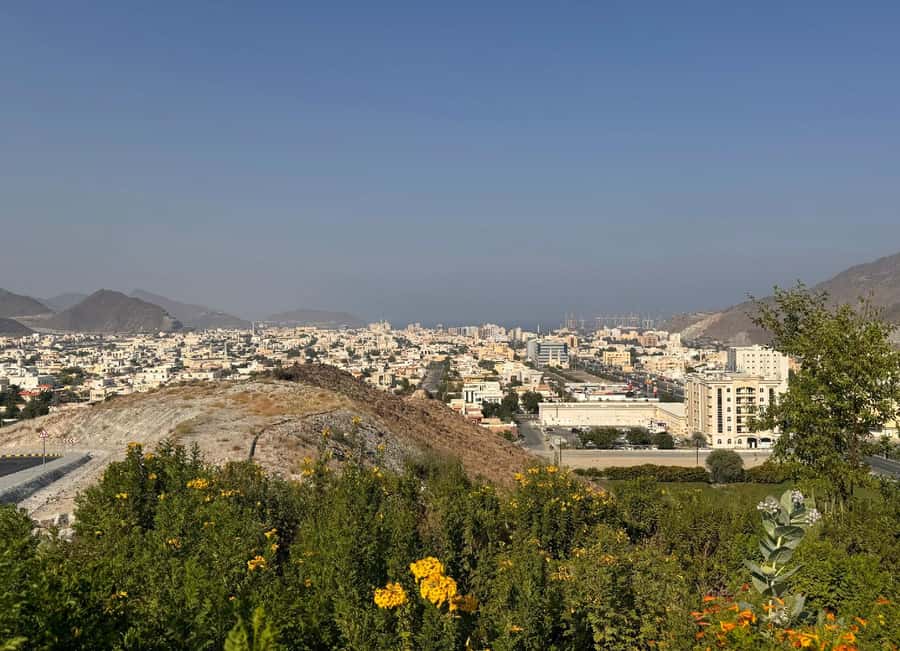 From Dubai: Fujairah City Tour - Key things to know before you go