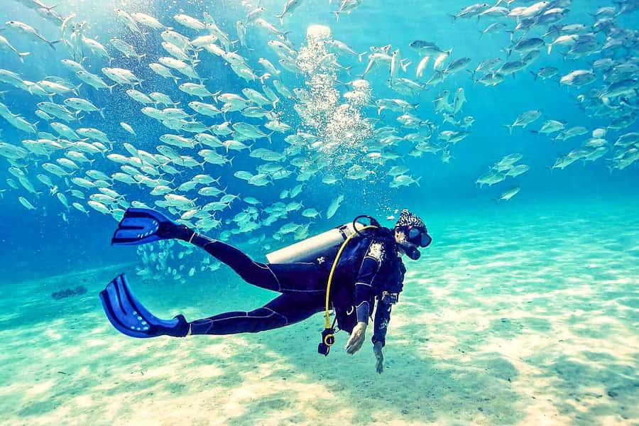 From Dubai: Fujairah Half-Day Scuba Dive and Snorkeling - Arrival and gear-up: what happens before your first reef stop