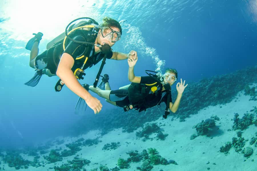 From Dubai: Fujairah Half-Day Scuba Dive and Snorkeling - Reef coral gardens and the underwater experience you came for