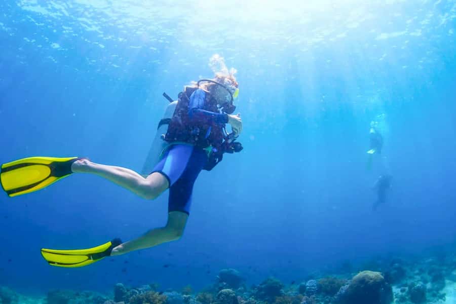 From Dubai: Fujairah Scuba Dive and Snorkeling - Key Things That Make This Fujairah Trip Worth It