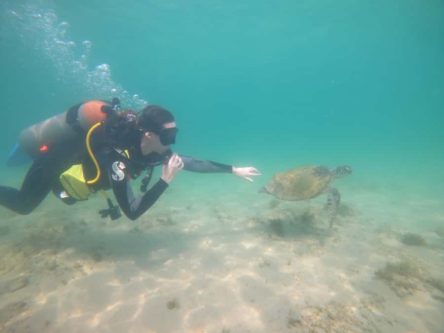 From Dubai: Fujairah Scuba Dive and Snorkeling - Safety and Real-World Expectations