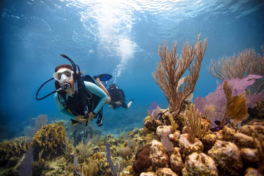 From Dubai: Fujairah Scuba Dive and Snorkeling - Cruise the Gulf of Oman: sundeck time beats rushing
