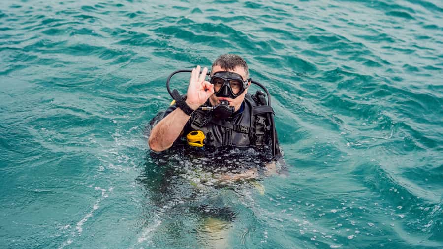 From Dubai: Fujairah Scuba Dive and Snorkeling - Price and Value: is $157 a good deal?