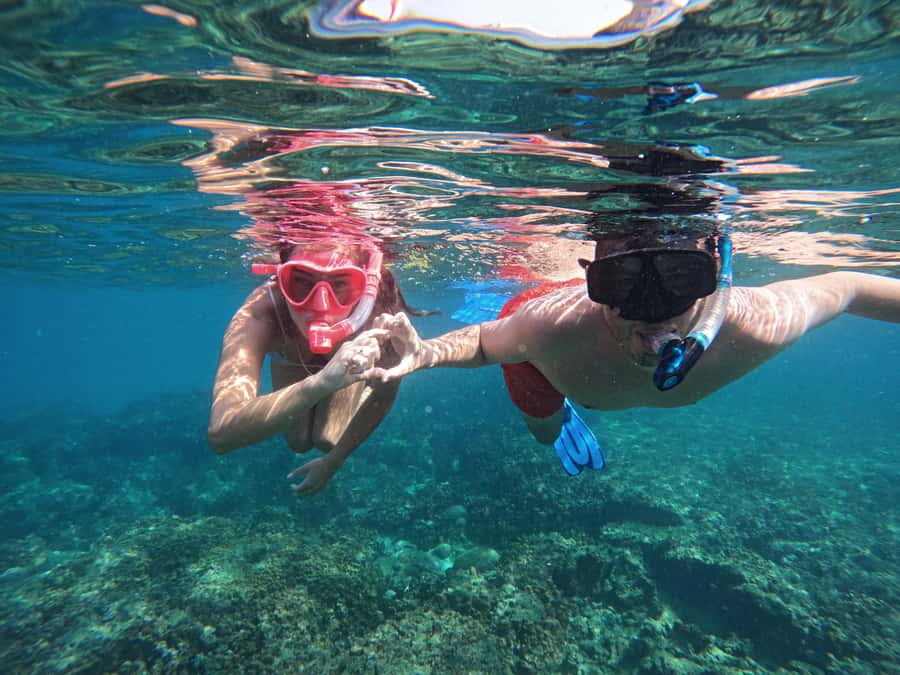 From Dubai: Fujairah Snorkeling with Turtles, Transfer & BBQ - Key things I think you will care about