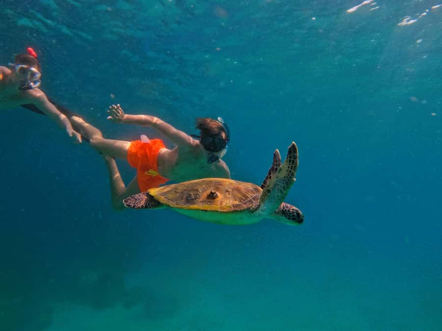From Dubai: Fujairah Snorkeling with Turtles, Transfer & BBQ - On the 42-Foot Boat: Small Comforts That Add Up