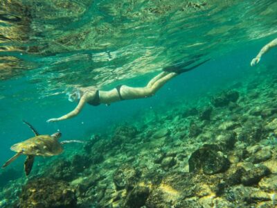 Fujairah Snorkeling with Turtles, Transfer & BBQ