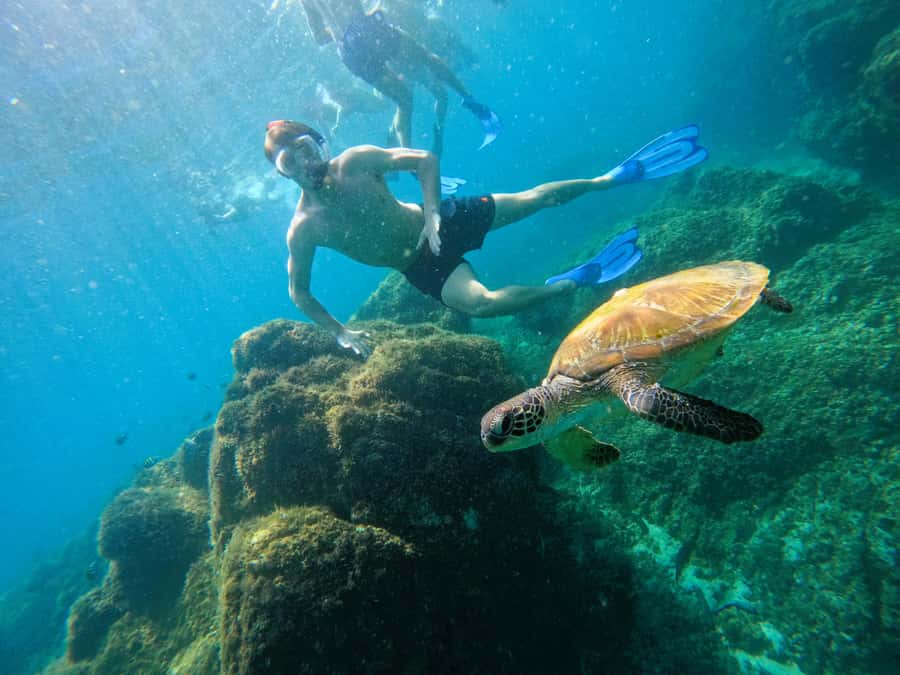 From Dubai: Fujairah Snorkeling with Turtles, Transfer & BBQ - Sharm Rocks: Second Snorkel Stop, Second Shot at Turtles and Rays