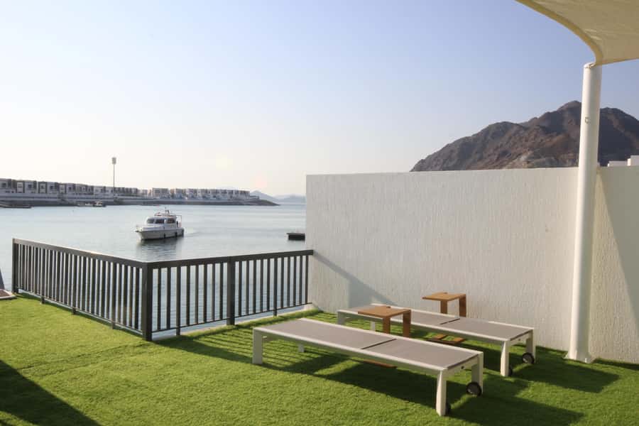 From Dubai: Fujairah Snorkeling with Turtles, Transfer & BBQ - Price and Value: Is $135 a Good Deal?