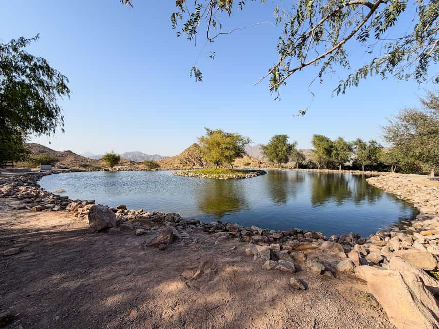 From Dubai: Hatta Sightseeing Tour with kayaking - What to Bring and What to Expect Before You Go