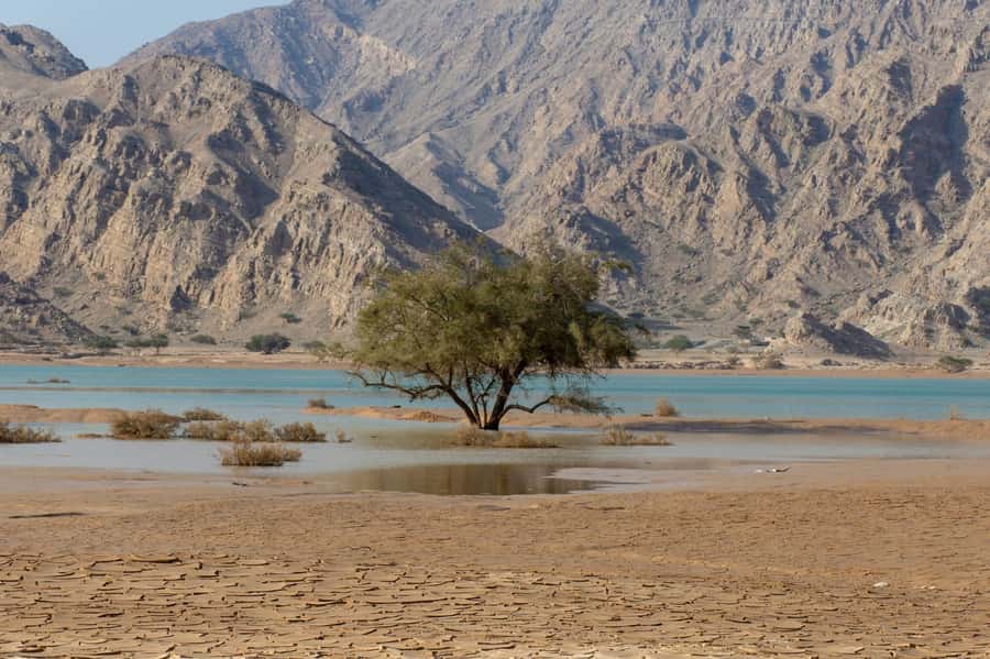 From Dubai: Jabel Jais High Mountain Tour with Transfers - Who This Tour Fits Best