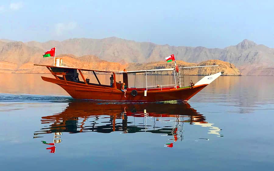 From Dubai: Musandam Khasab Tour with Boat Trip and Safari - What You Do During the Cruise, Including Dolphin Time and Swim Stops
