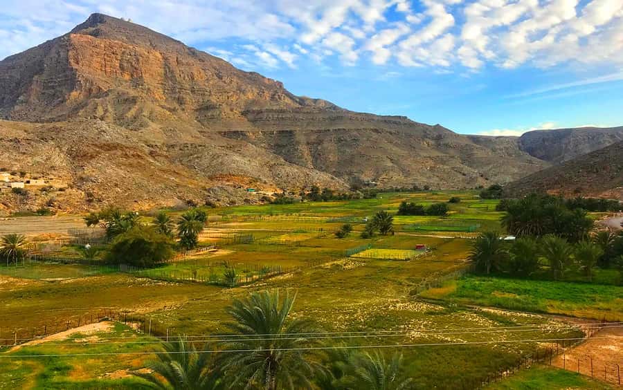From Dubai: Musandam Khasab Tour with Boat Trip and Safari - Lunch in Khasab and the Timing That Keeps the Day Moving