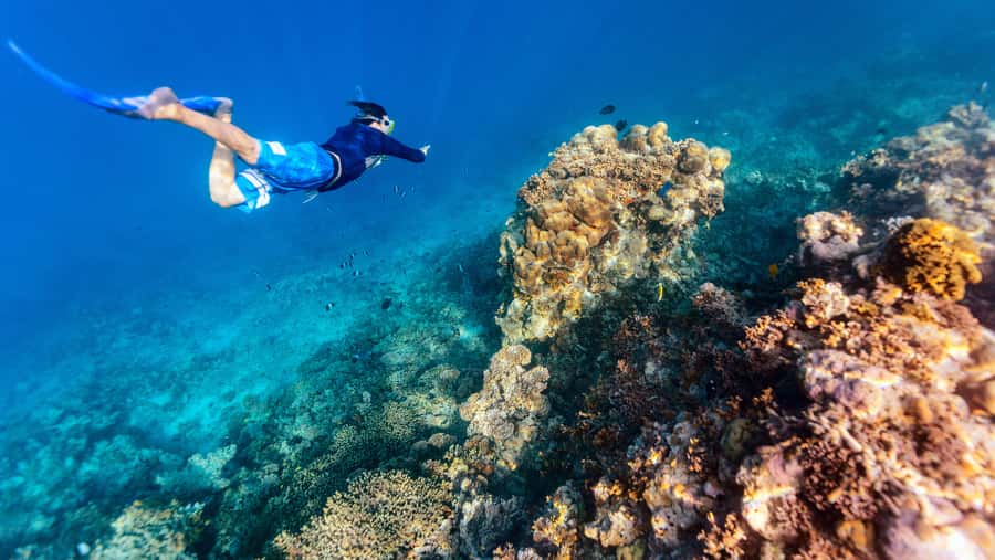 From Dubai: Snorkeling Trip to Dibba Al-Fujairah - The Dubai to Dibba Al-Fujairah day trip, what 8 hours really feels like