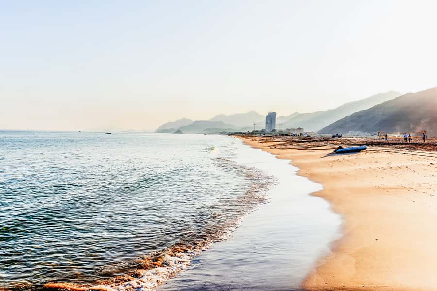 From Dubai: Snorkeling Trip to Dibba Al-Fujairah - Wildlife spotting: turtles, black-tip sharks, and the fish you will actually see