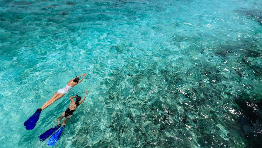 From Dubai: Snorkeling Trip to Dibba Al-Fujairah - FAQ