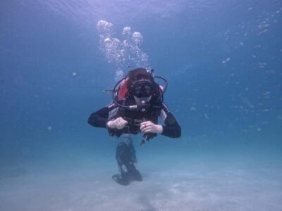 Try Scuba Diving, Snorkeling with BBQ & Transfer