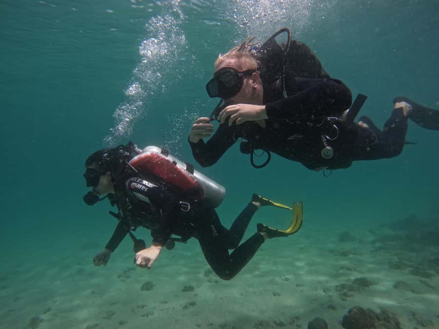 From Dubai: Try Scuba Diving, Snorkeling with BBQ & Transfer - Reef Oasis center lunch: BBQ that makes the day feel complete