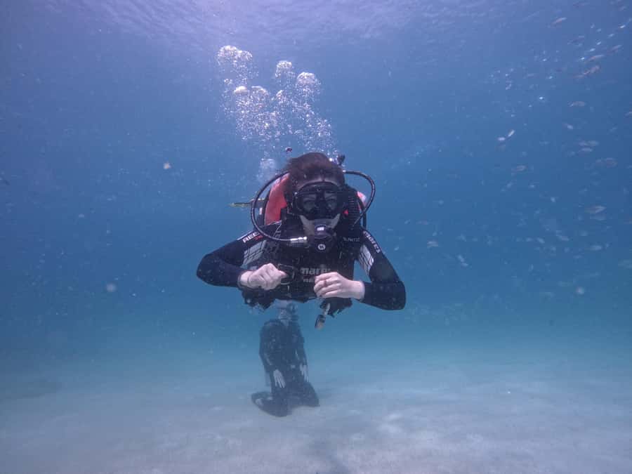 From Dubai: Try Scuba Diving, Snorkeling with BBQ & Transfer - The early morning van: how the timing actually feels