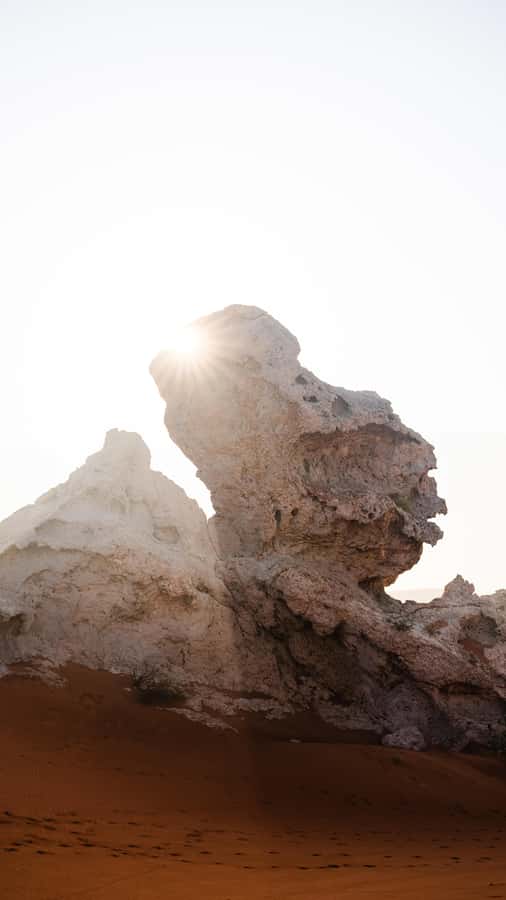 From Dubai: Zerzura Dune Buggy Experience & Fossil Discovery - Sandboarding on Camel Rock: fun you can manage