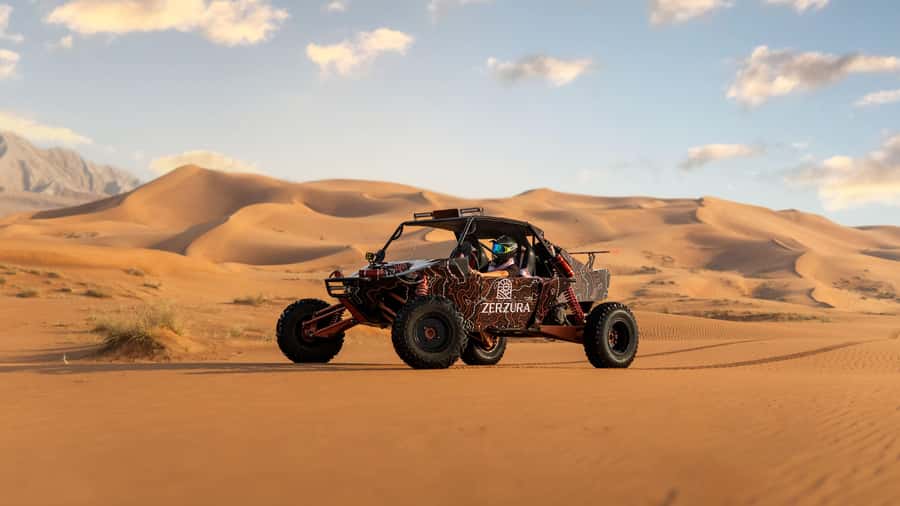 From Dubai: Zerzura Dune Buggy Experience & Fossil Discovery - Who should book this, and who might not love it