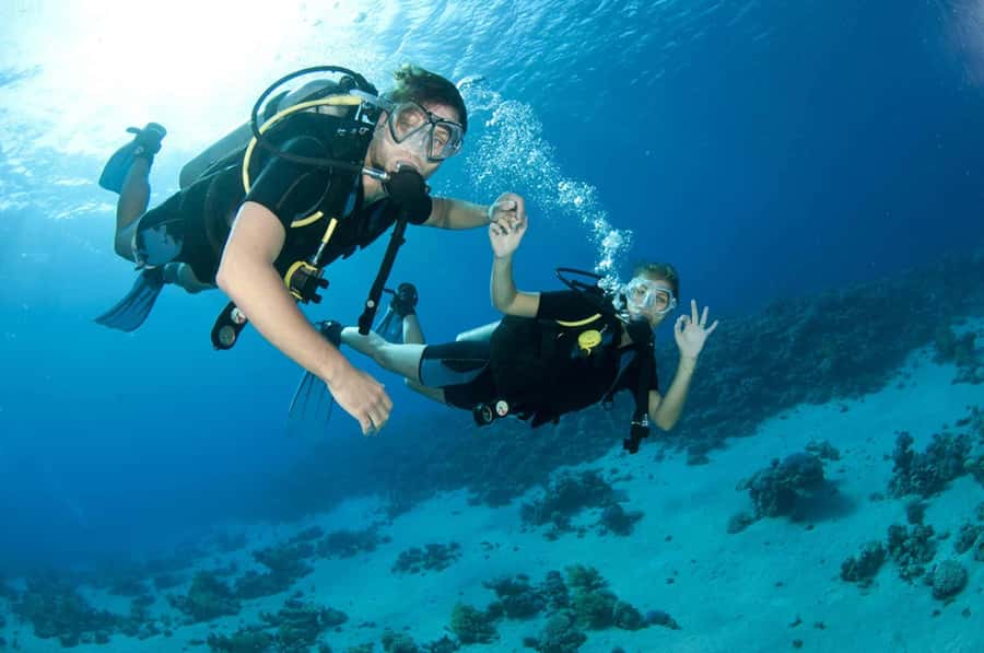 Fujairah: 2 Fun Dive Experience for Certified Divers - Nemo Team and Your Guide: What Smooth Service Looks Like