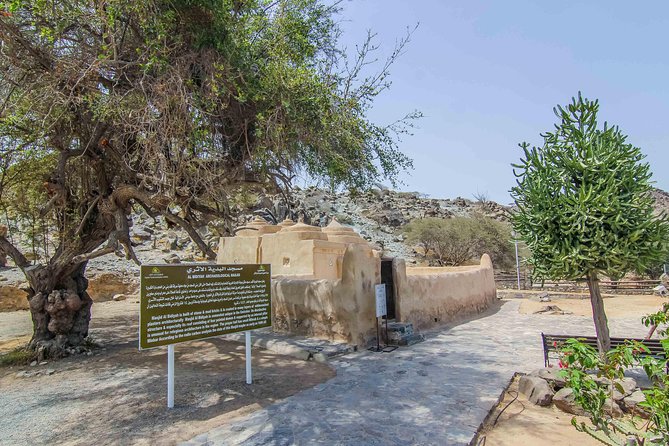 Fujairah Private day trip from Dubai with Lunch - Price and Value: Is $386 a Good Deal?