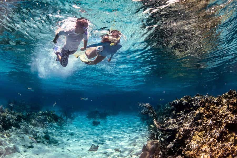 Fujairah: Snorkeling Trip with Equipment - Boat time, refreshments, and the small-group comfort factor