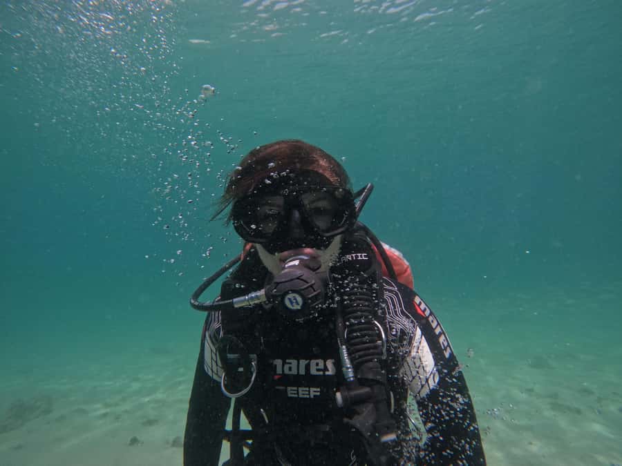 Fujairah: Try Diving Experience with underwater photos - The 2-hour flow, from Al Dana Villa meet-up to your photo moment