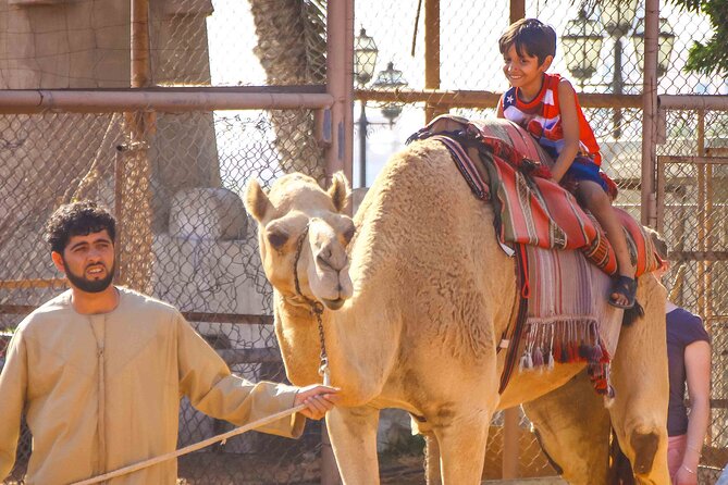 Full Day Small Group Abu Dhabi City Guided Tour - Quick Photo Moments: Emirates Area Pass-By and Yas Island Ferrari World