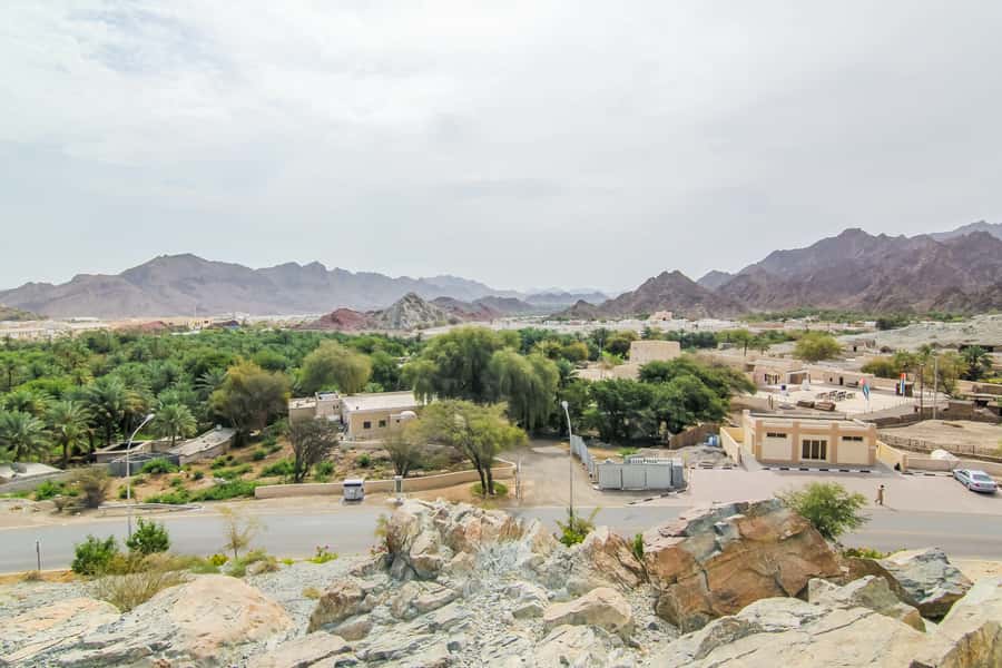 Hatta Safari & Honey Bee Garden Visit - Camel Rock and Fossil Rock at Jebel Maleihah