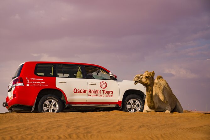 High Red Dunes with Camel Ride, Sandboarding, Falcon Show and VIP BBQ Dinner - Sunset camp setup: calm comes right after the chaos