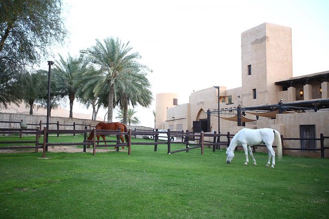 Horseback Riding in Dubai Desert with Transfers - Key Things I’d Prioritize Before You Go